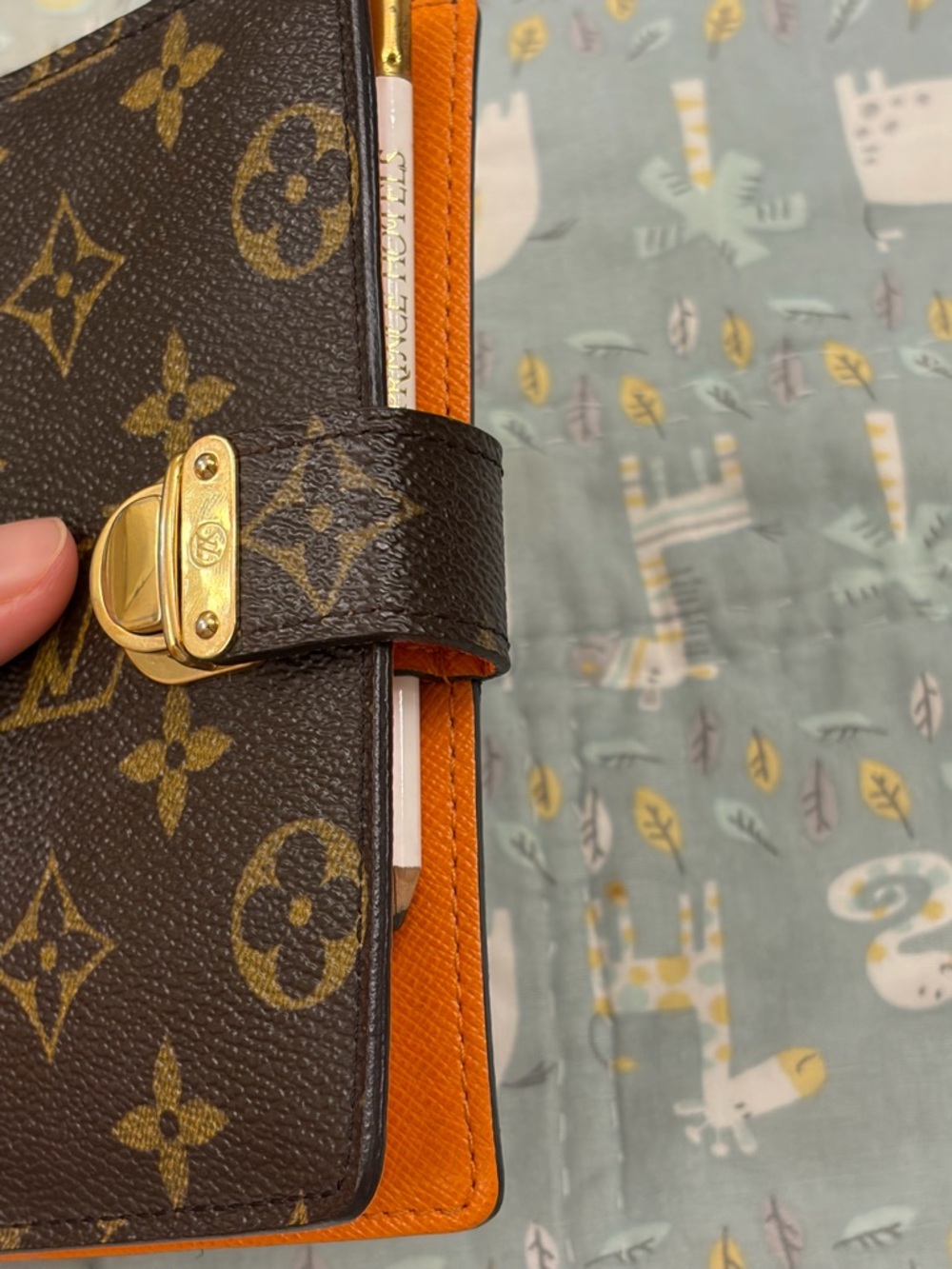Louis Vuitton Agenda Pm (PRICE FIRM) - Picture 13 of 16
